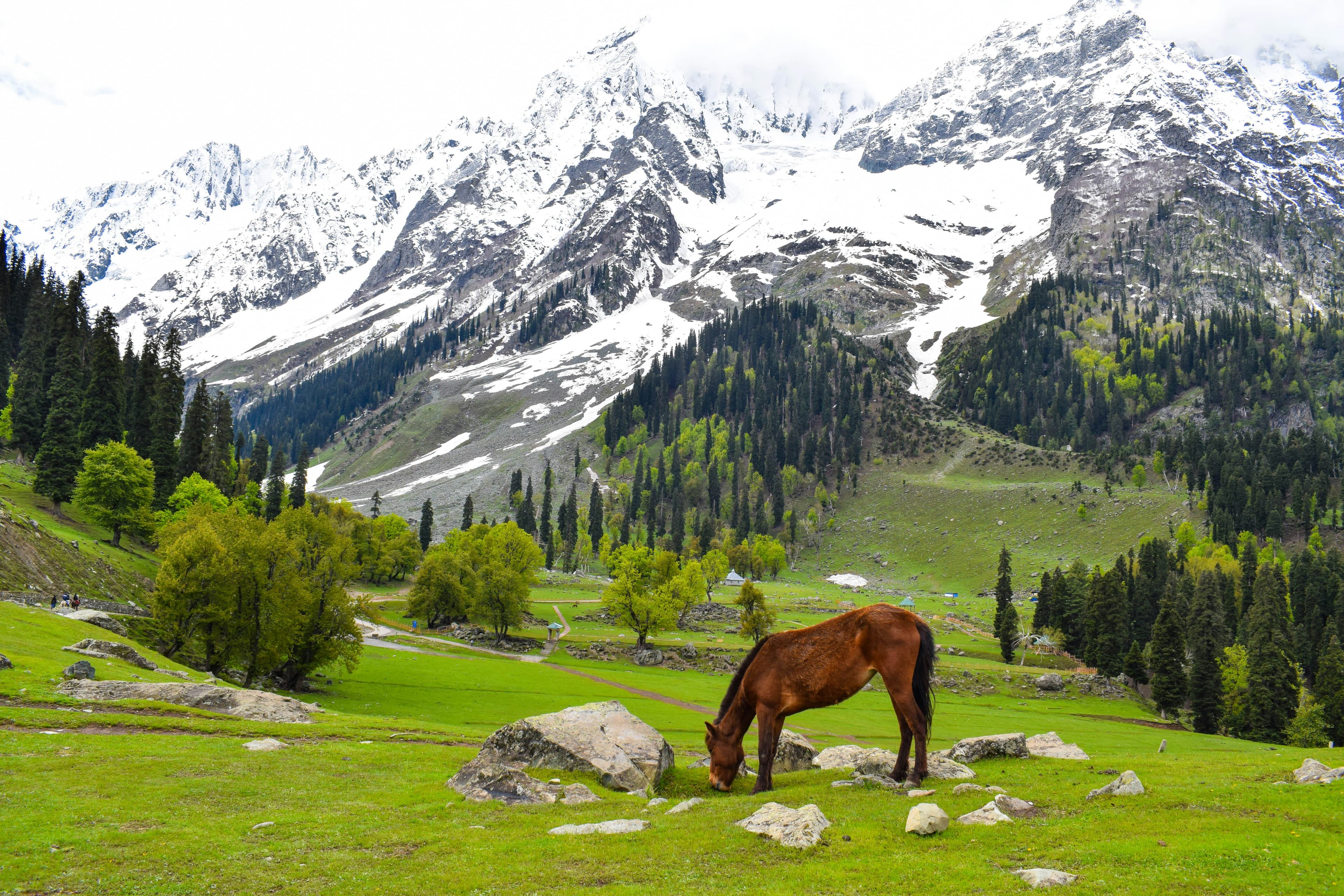 Kashmir Escape